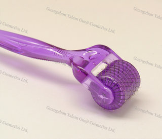Facial Micro Needle Roller With Titanium Alloy 200 Needles For Cure The Alopecia