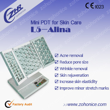 Skin Whitening Skin Rejuvenation Machine , PDT Light Therapy Beauty Equipment
